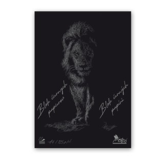 [TEST] Blok A5 lepeny 40l City TST-04505